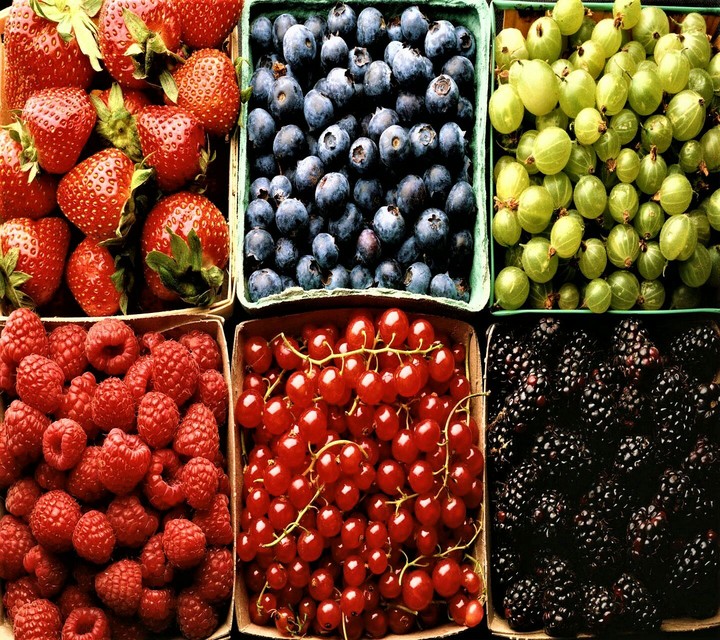 fruty