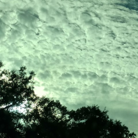 Cool Cloud Pic