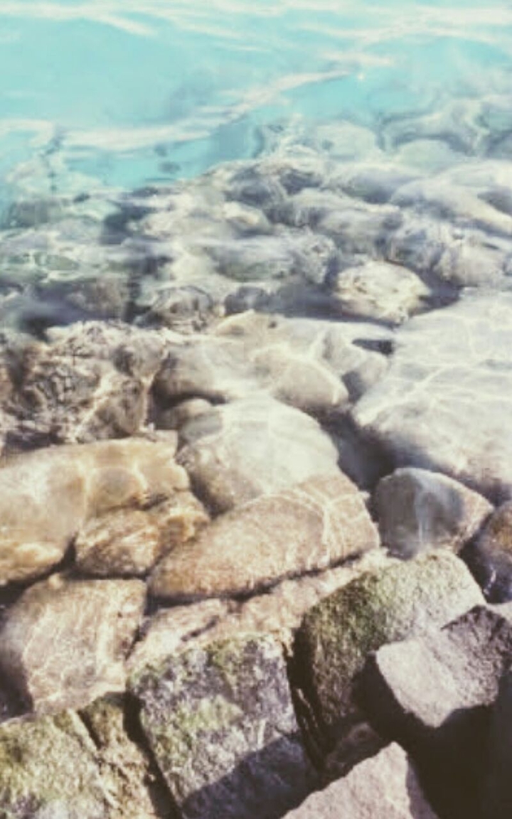 sea shore