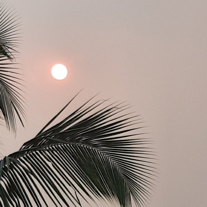 'My click' Bengaluru