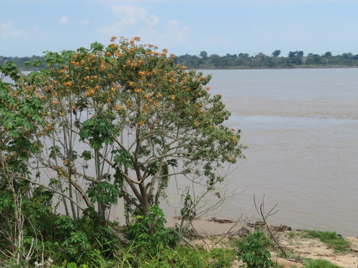 Río Amazonas Colombia