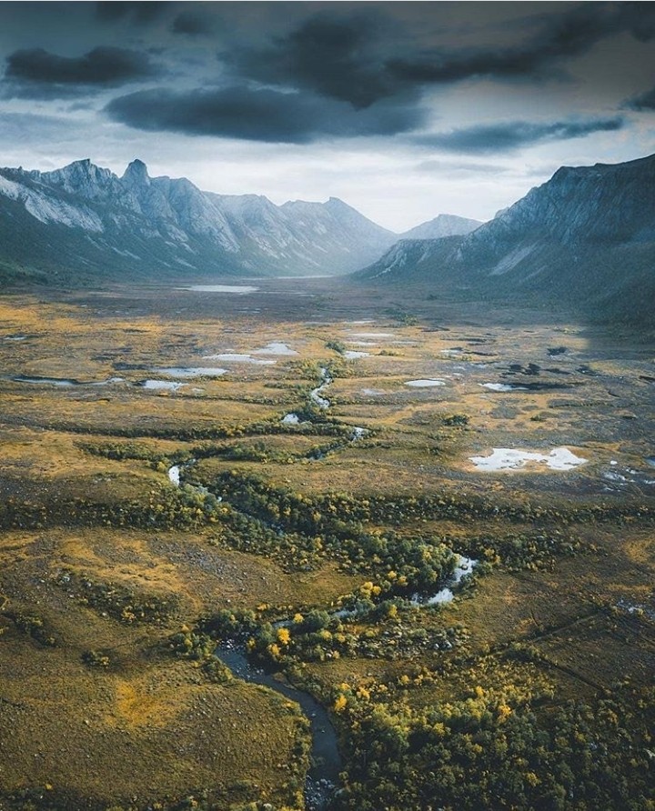 田