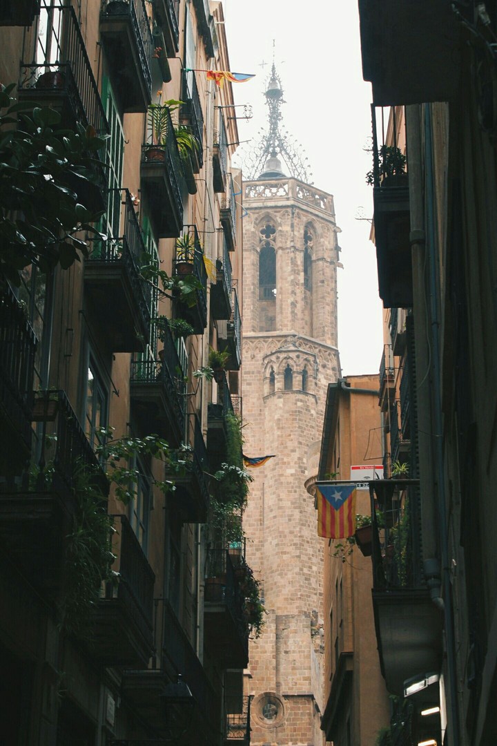 The street