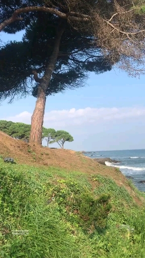 Ordu Ünye