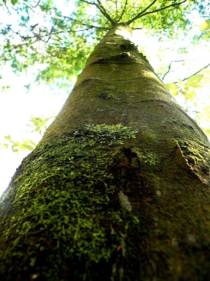 Nature Is Amazing.