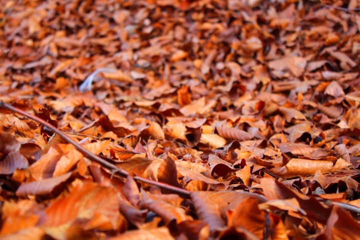 Fall.