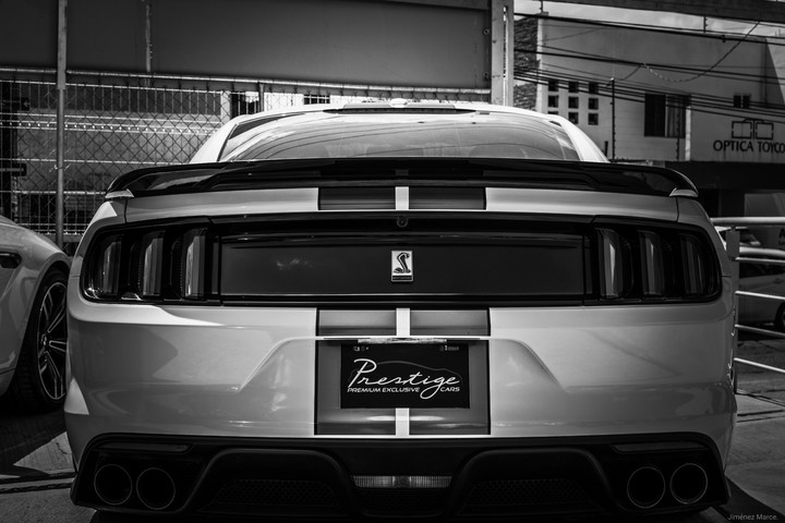 Mustang