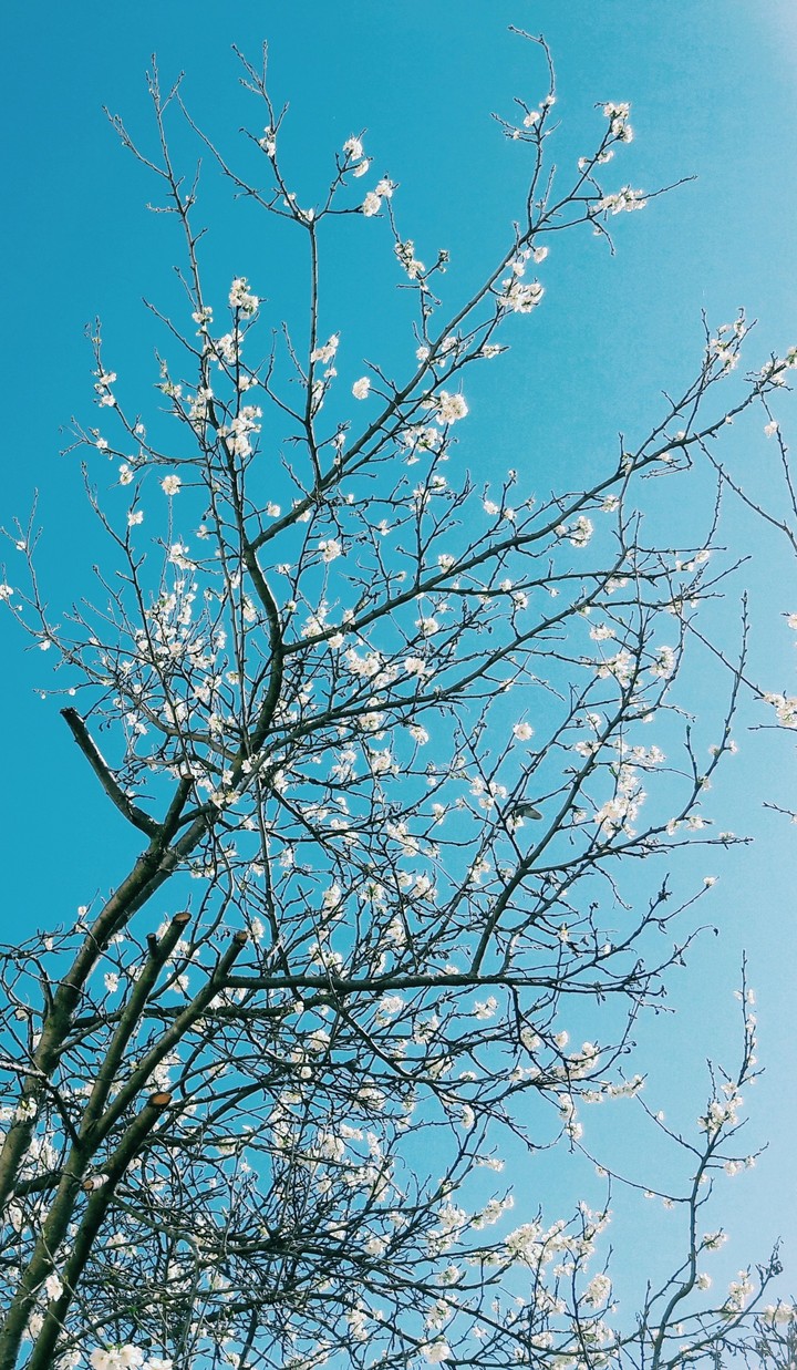equinozio di primavera