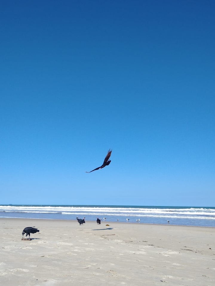 Praia
