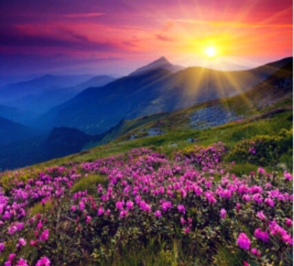 #spring #wallpaper #maraton