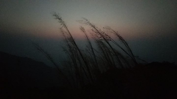 dark