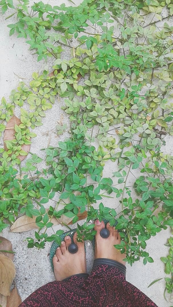 #green