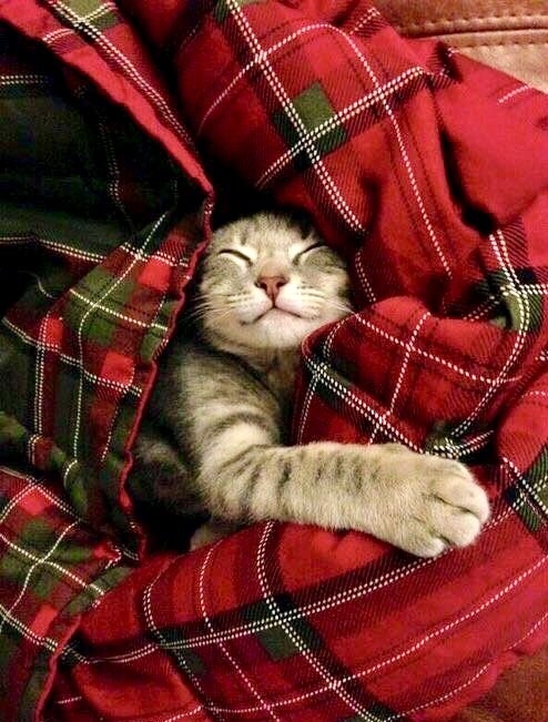 so cute