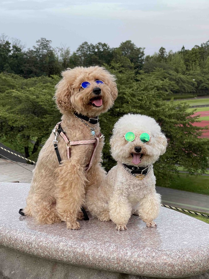 Lucky & Money