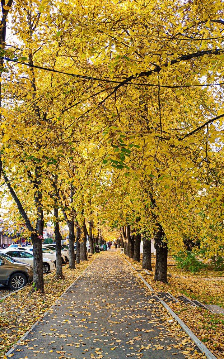 yellow alley