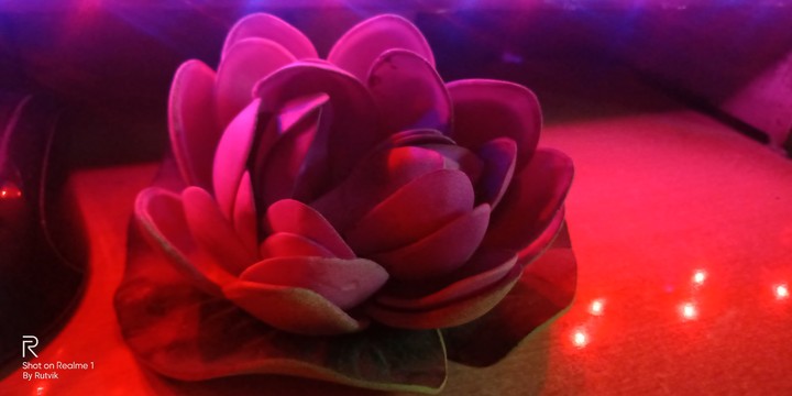 lotus