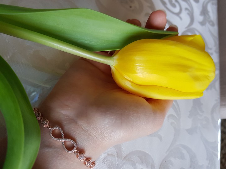 infinite tulip♾