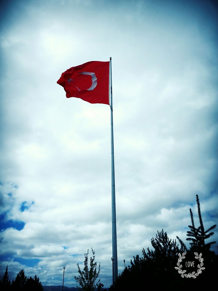 bayrak