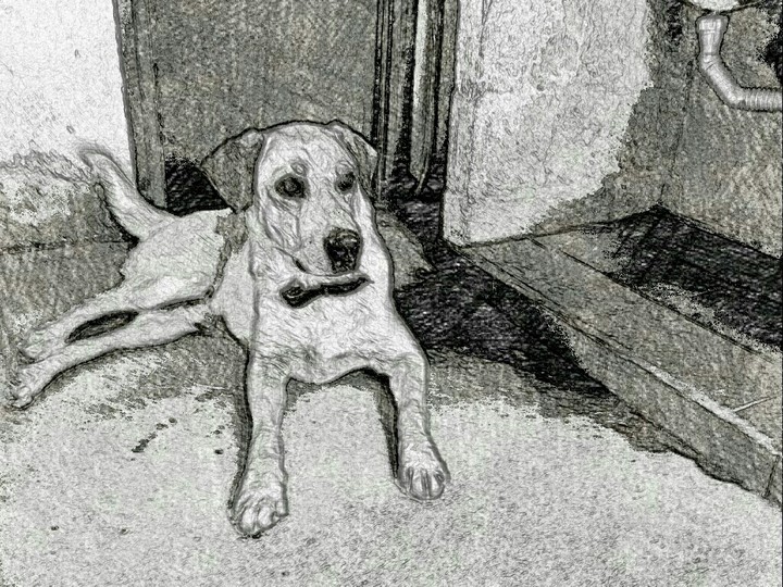 Drawing
