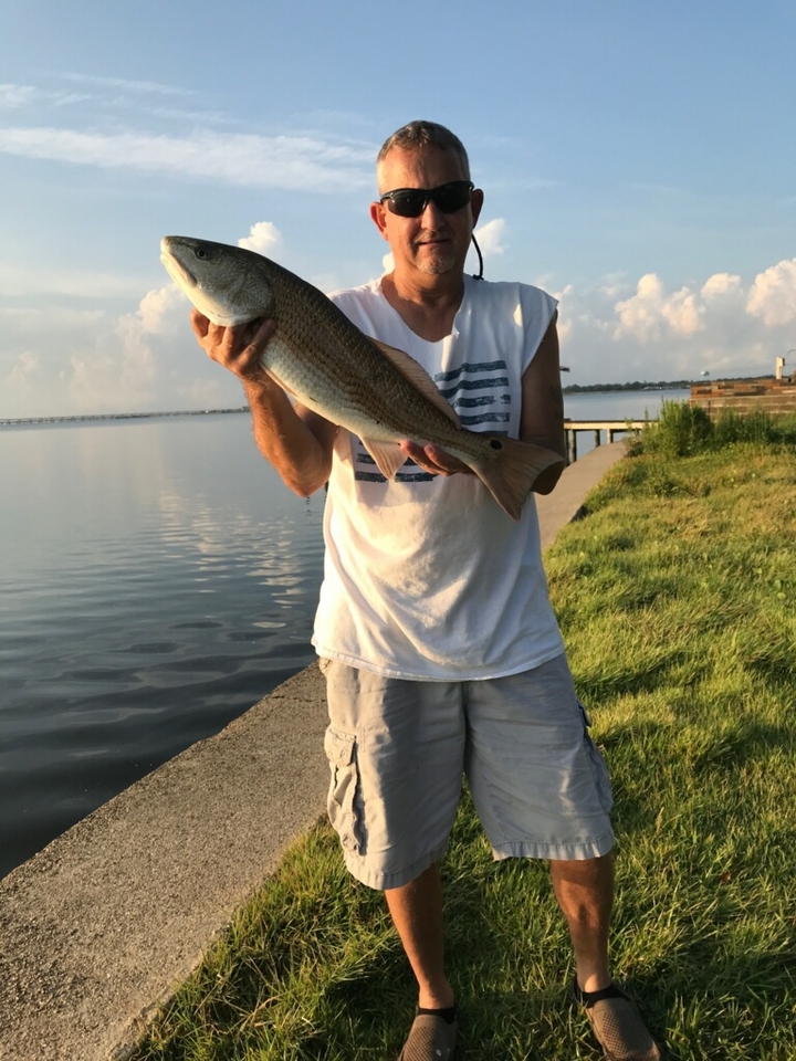 Redfish