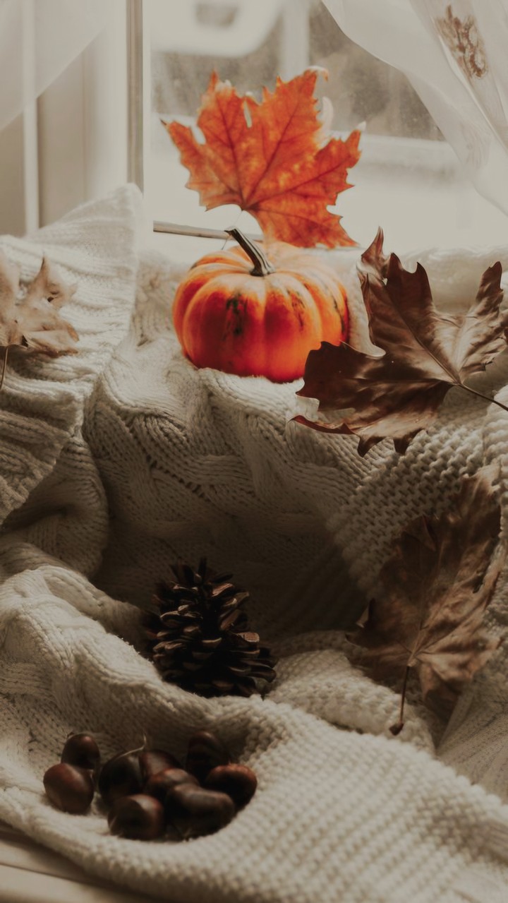 AN AUTUMNAL MOMENT
