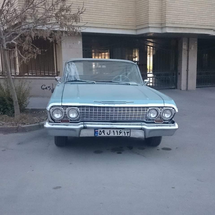 impala