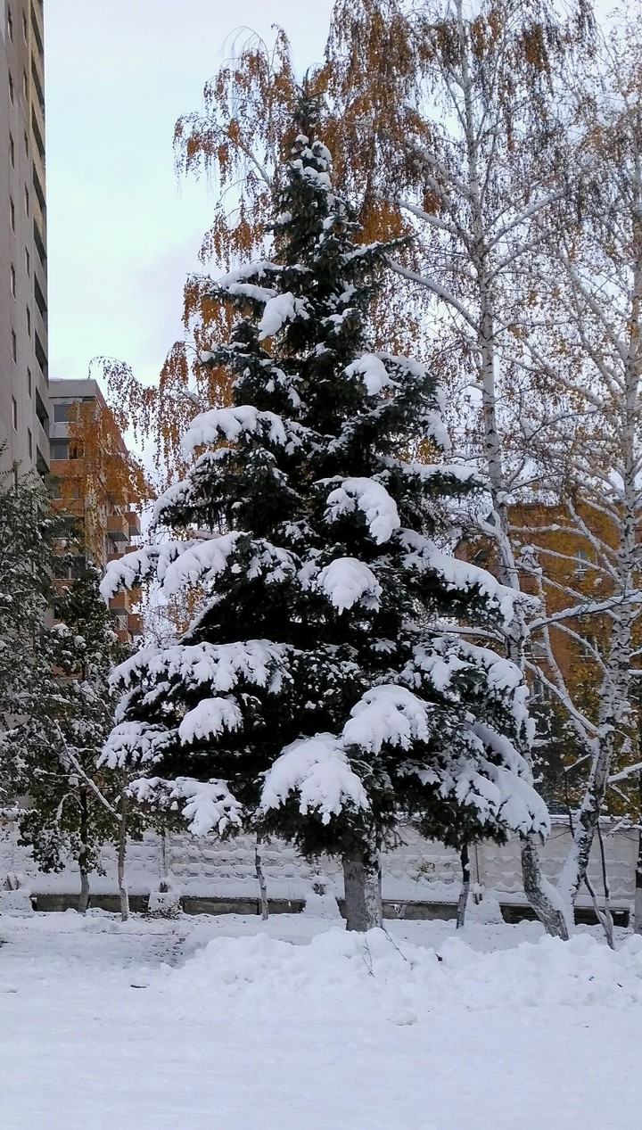 winter