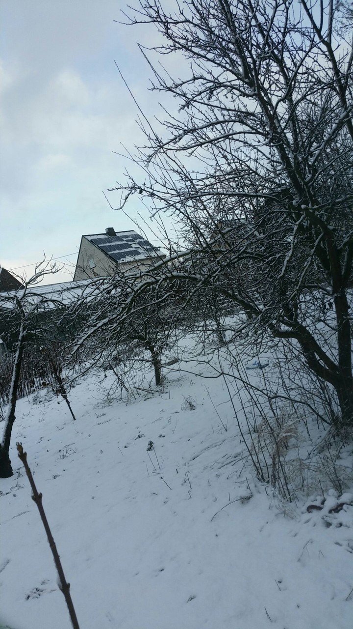 winter