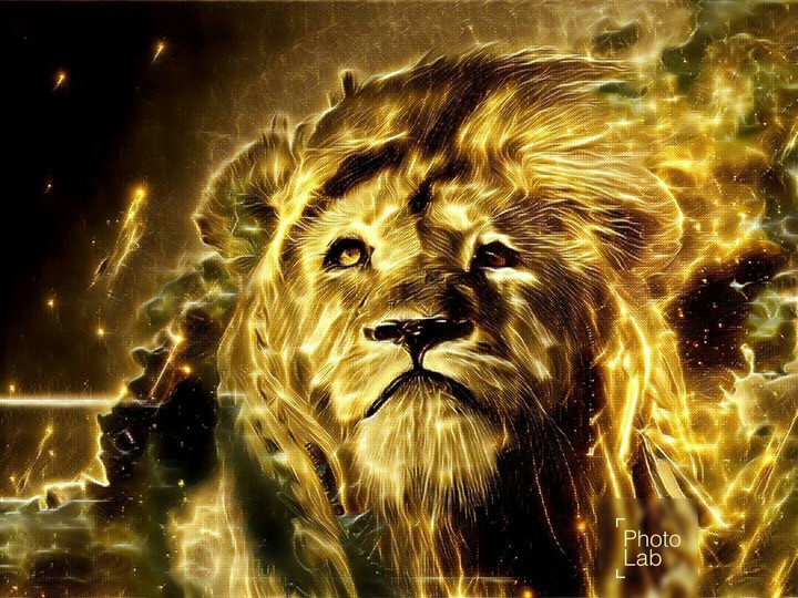 golden lion