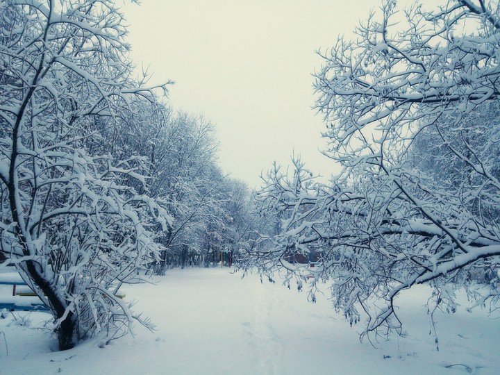 Winter