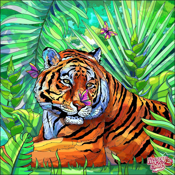 Tigre