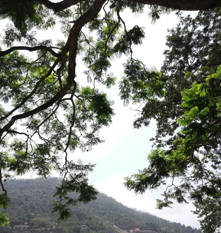 nothing more prettier than nature