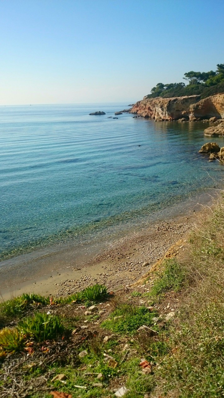 STAMATIOS