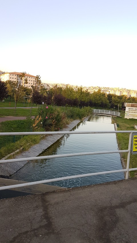 Doğa