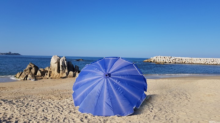 바다
