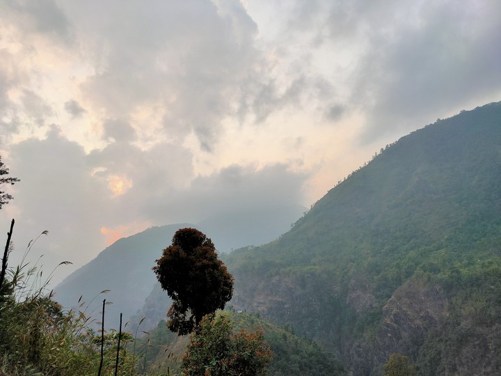 Mountain
