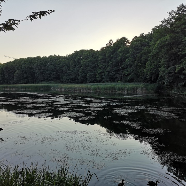 Lake