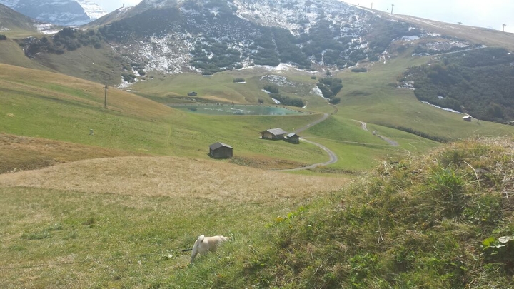 Schweiz