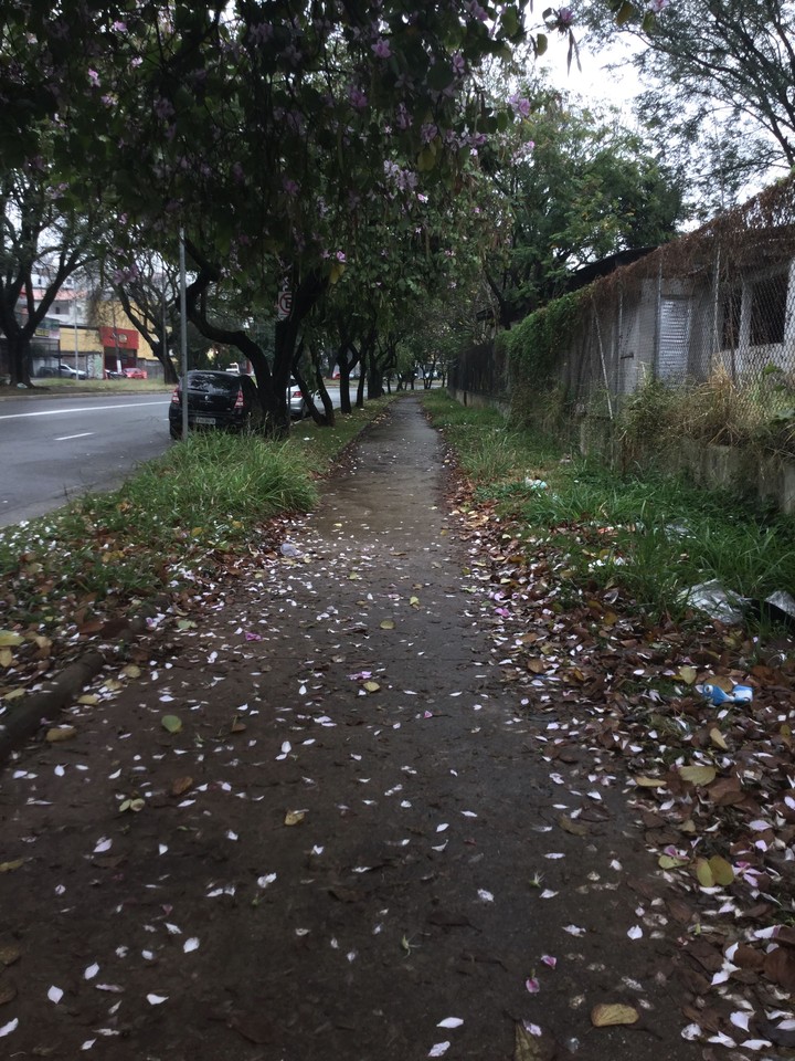 A rainy sidewalk