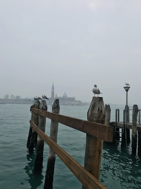 Dock, lake वॉलपेपर