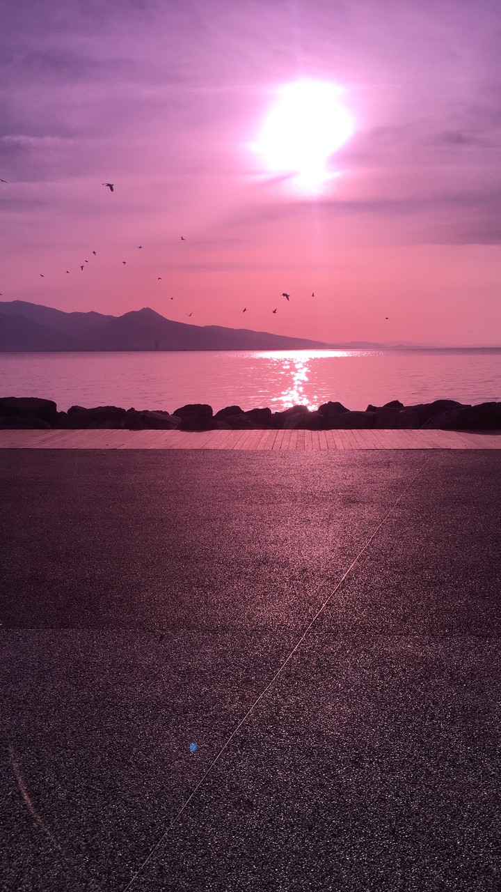 sun pink