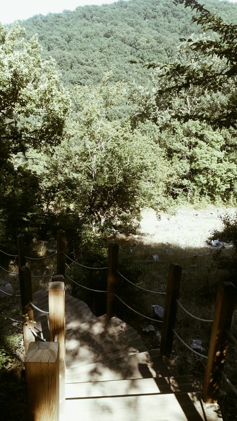 a little trip