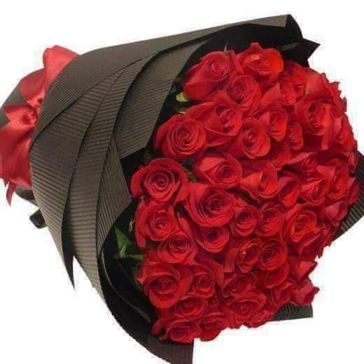 rose