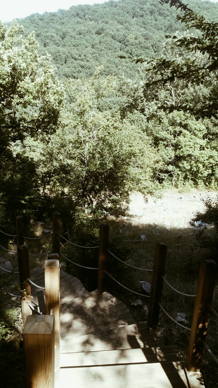 a little trip