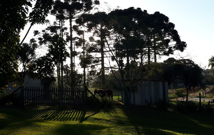 Luzes da Natureza
