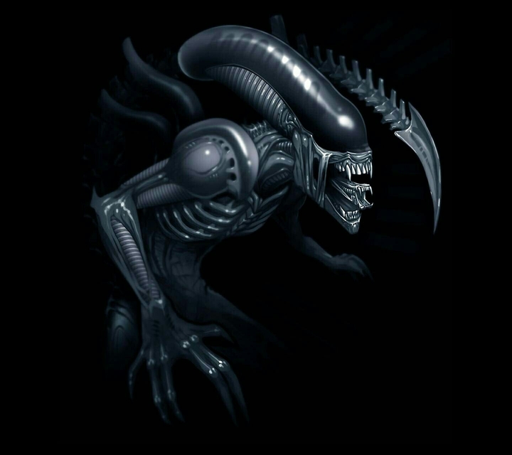 Xenomorph Artwork From Alien