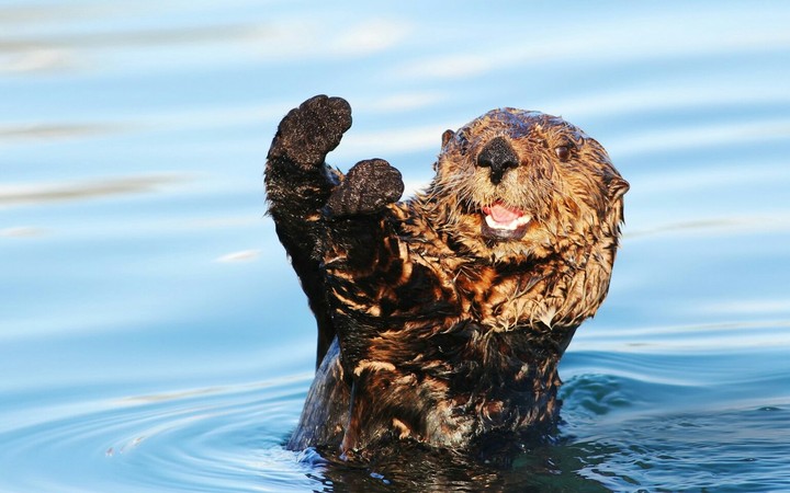 funny and cute