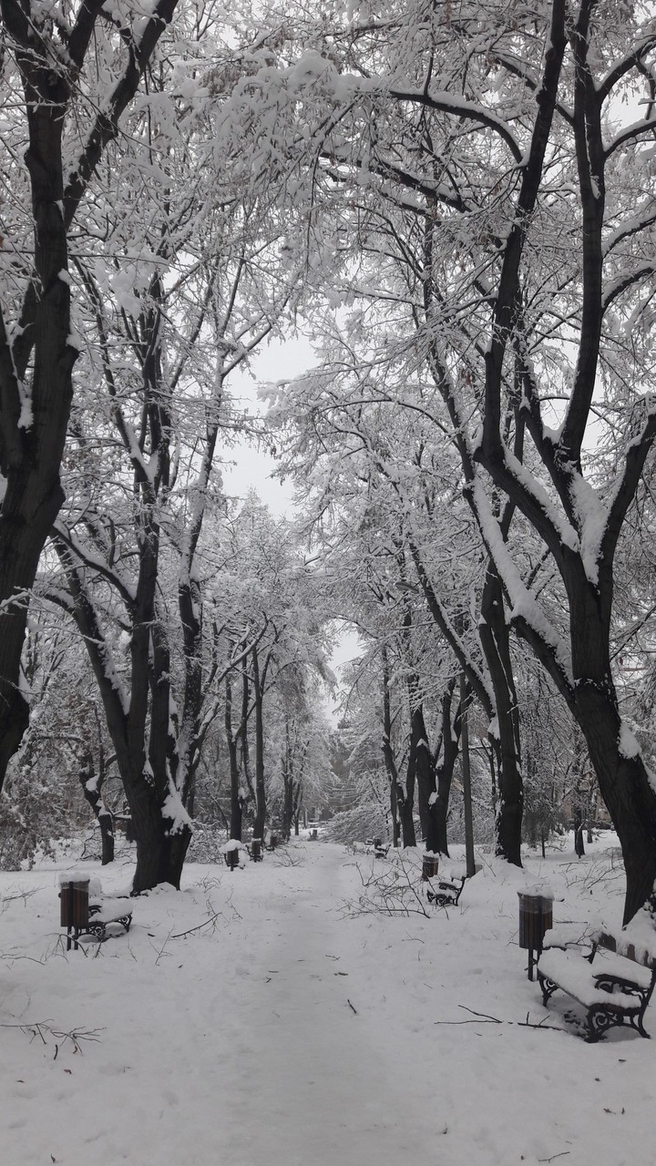 #winter #cold #timisoararomania