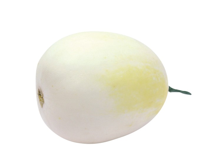 음식이미지