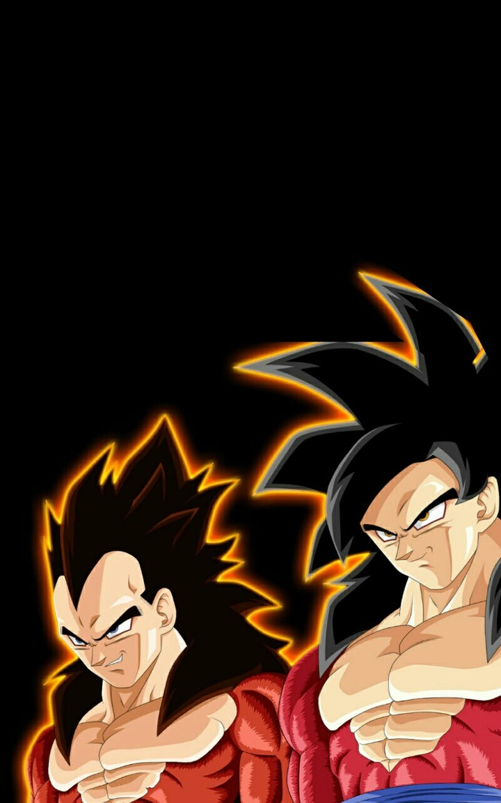 Goku And Vegeta Super Saiyan Dragonball z